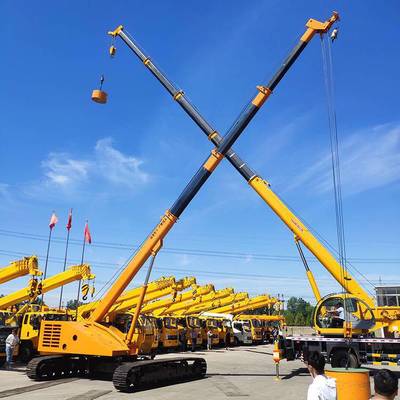 定制生產 蜘蛛吊車 吊重行走履帶吊 履帶吊車